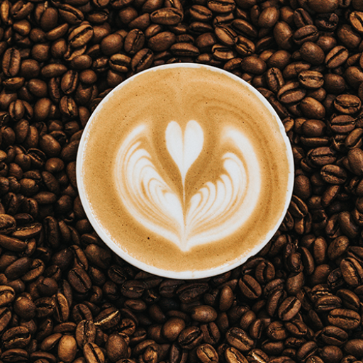 vanfilter til kaffemaskine